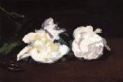 Edouard Manet Branch of White Peonies and Shears Germany oil painting artist